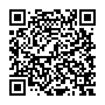QR code for ZP4119