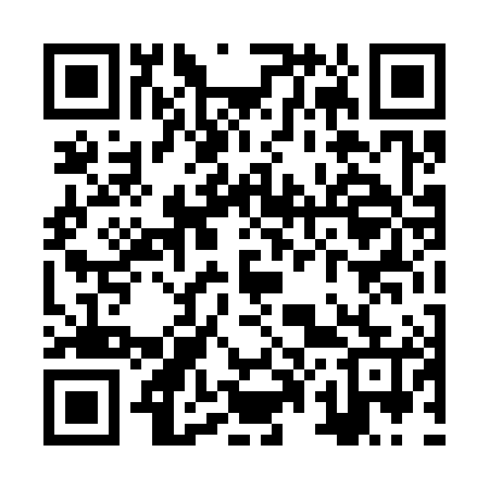 QR code for ZP4385