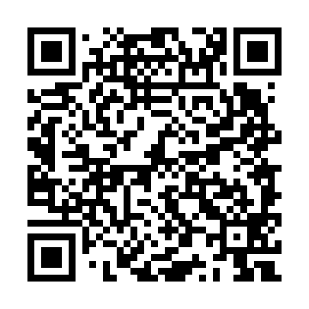 QR code for ZP4699