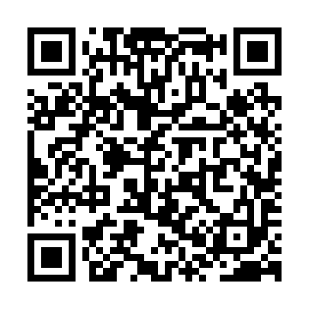 QR code for ZP6293