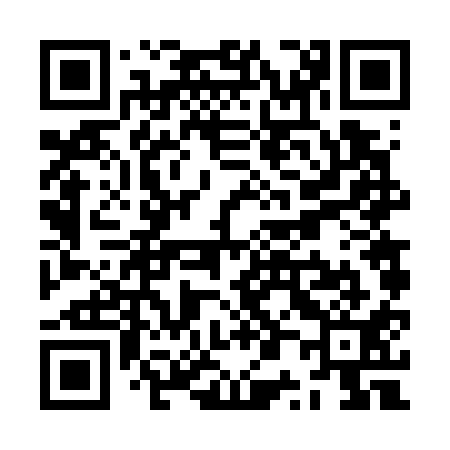 QR code for ZP6711