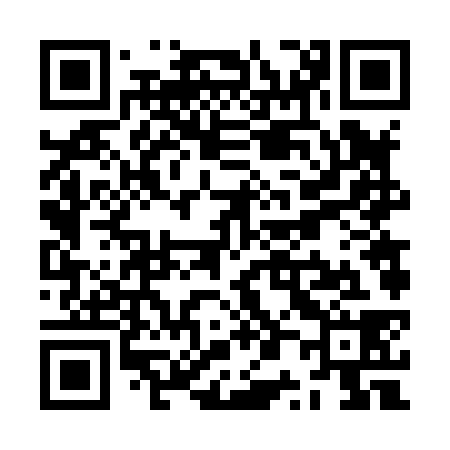QR code for ZP6838