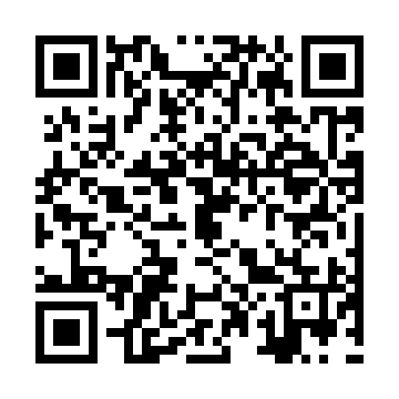 QR code for ZP6995