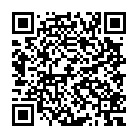 QR code for ZP8009
