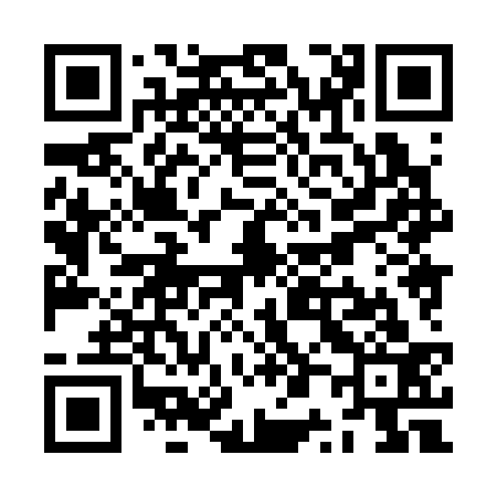 QR code for ZP8333