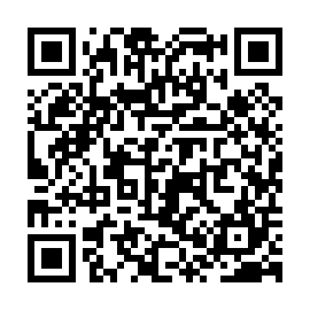 QR code for ZP9004