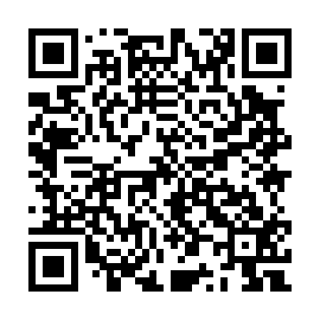 QR code for ZP9013