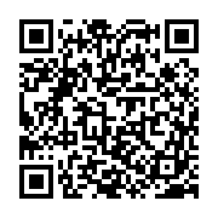 QR code for ZP9163