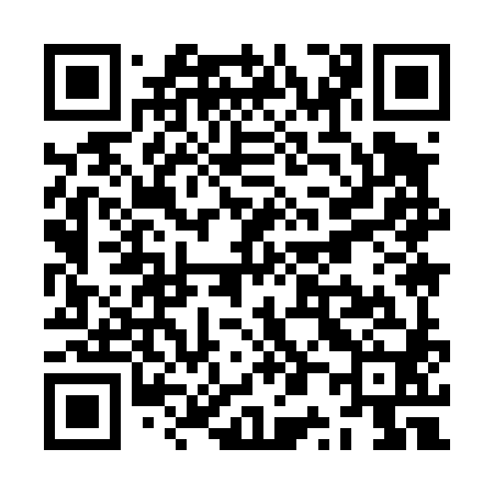 QR code for ZP9480