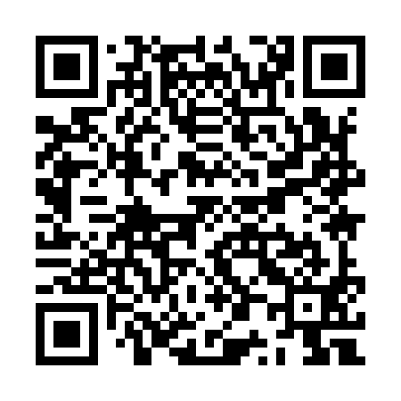 QR code for ZP9991