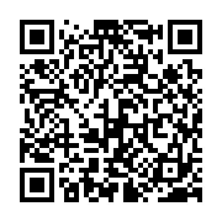 QR code for ZQ9333