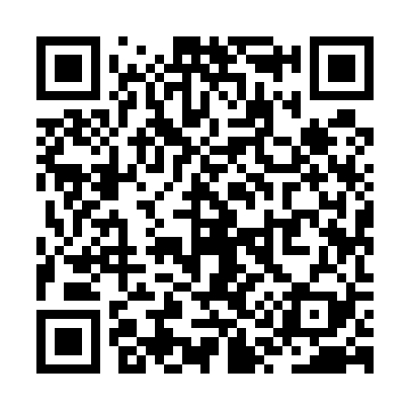 QR code for ZQ9529