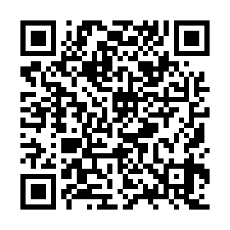 QR code for ZQ9539