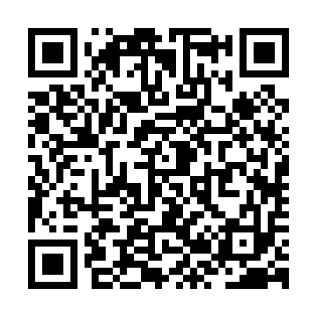 QR code for ZR2013