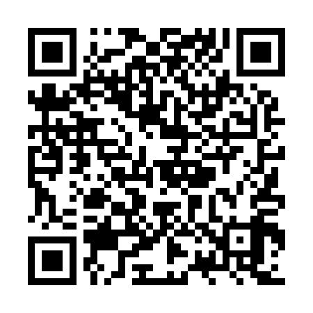 QR code for ZR4919