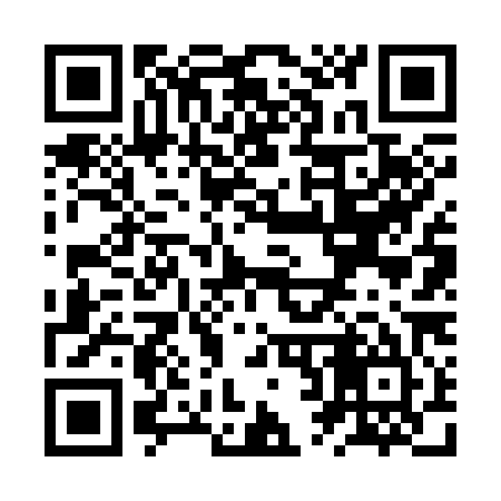 QR code for ZR6385