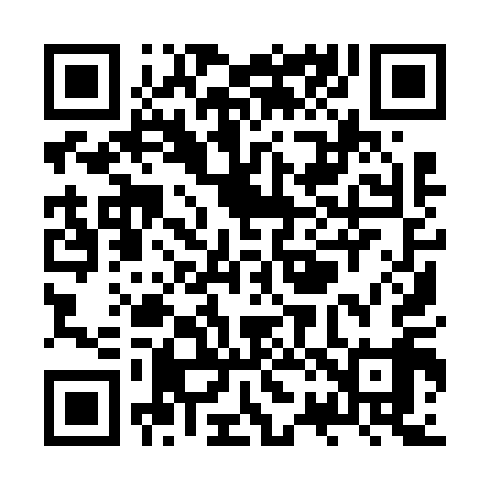 QR code for ZR9619