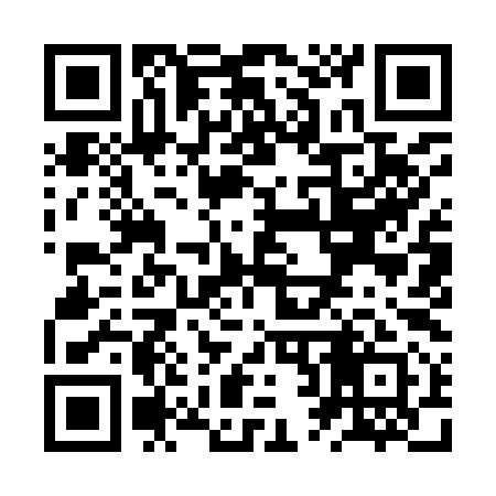 QR code for ZR9991