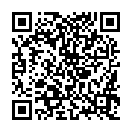 QR code for ZR9996