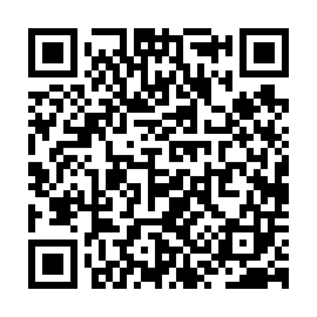 QR code for ZS0603