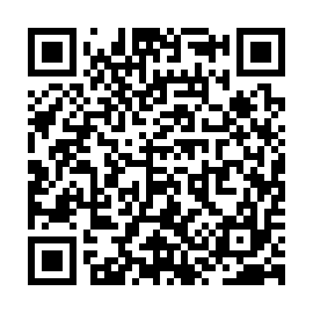 QR code for ZS1317