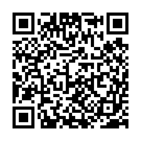QR code for ZS1653