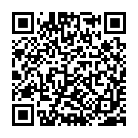 QR code for ZS3393