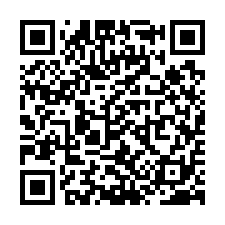 QR code for ZS3711