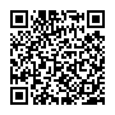 QR code for ZS6611