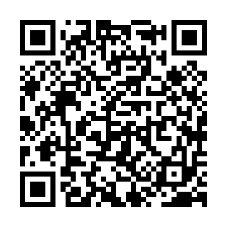 QR code for ZS8013
