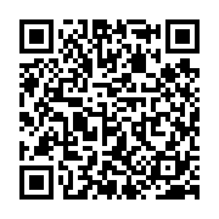 QR code for ZS9630