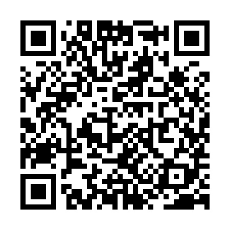 QR code for ZS9989