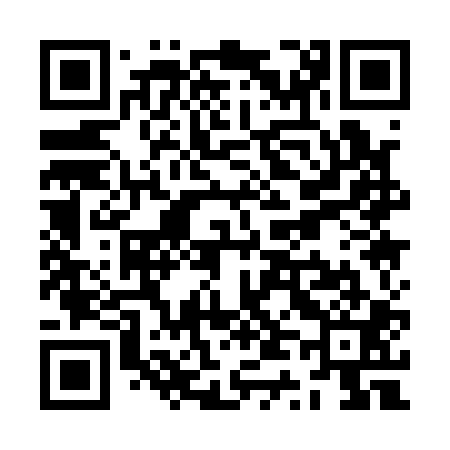 QR code for ZT1101