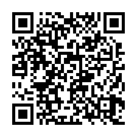 QR code for ZT2228