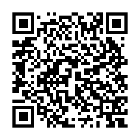 QR code for ZT2272