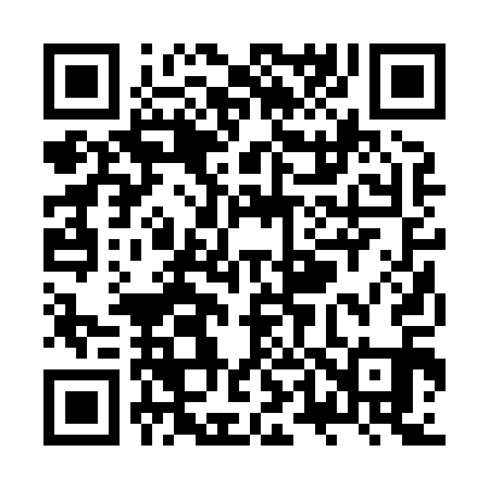 QR code for ZT2811