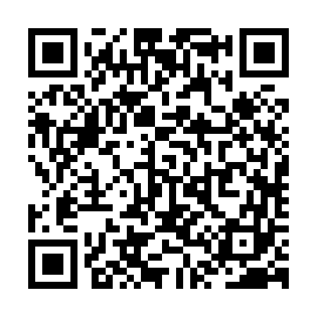 QR code for ZT2863