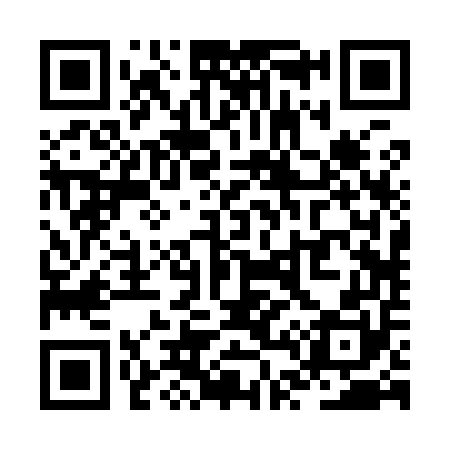 QR code for ZT2950