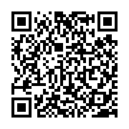 QR code for ZT3638