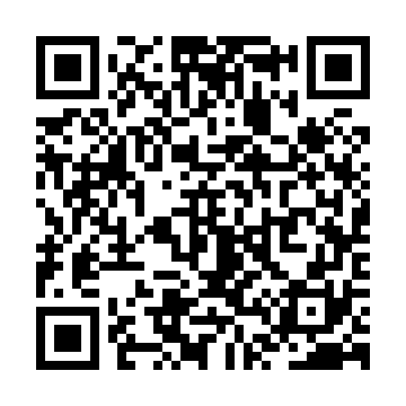 QR code for ZT3870