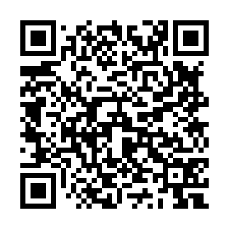 QR code for ZT3874