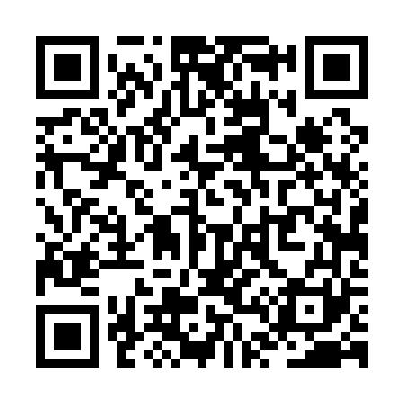 QR code for ZT4161