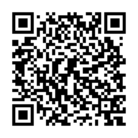 QR code for ZT4371