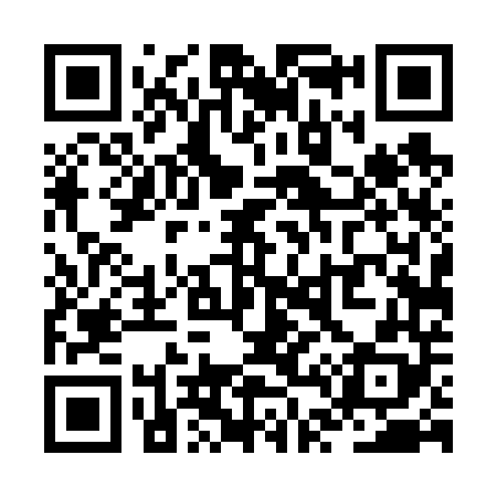 QR code for ZT4648