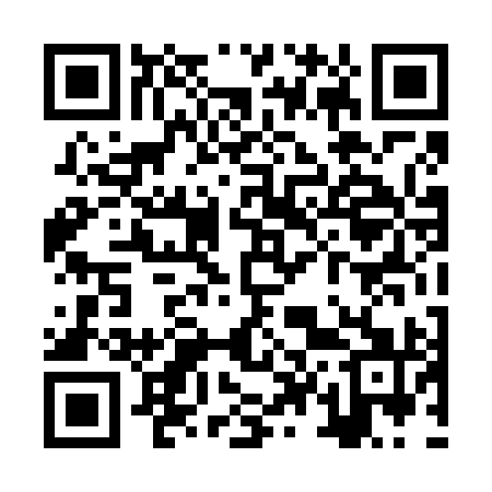QR code for ZT4691