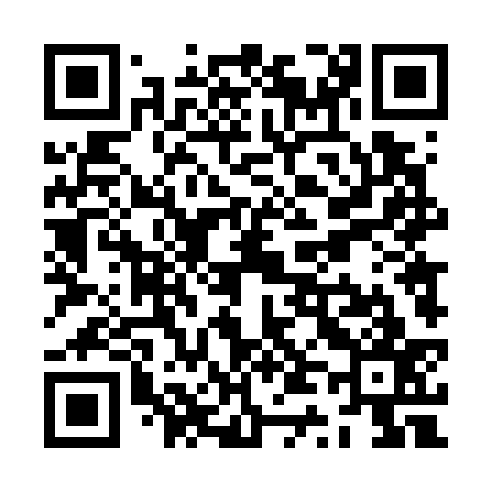 QR code for ZT4737