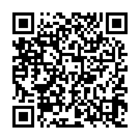 QR code for ZT4919