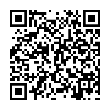 QR code for ZT5293