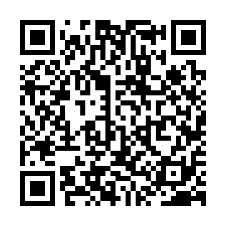 QR code for ZT6311