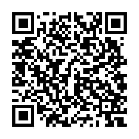 QR code for ZT6603